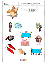 okul öncesi aynı kavramı bul